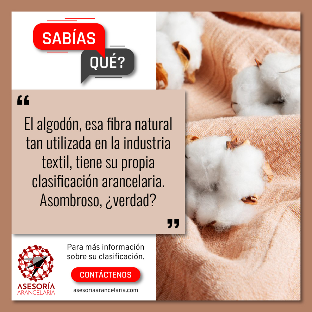 Sabías que el algodón, esa fibra natural tan utilizada en la industria textil, tiene su propia clasificación arancelaria en el Capítulo 52 y la Partida 5201.