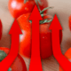 IMPACTO DEL ARANCEL ESTADOUNIDENSE AL TOMATE MEXICANO